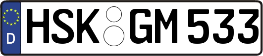 HSK-GM533