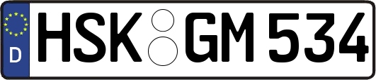 HSK-GM534