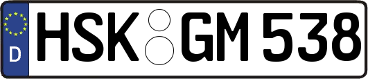 HSK-GM538