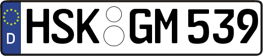 HSK-GM539