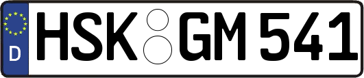 HSK-GM541