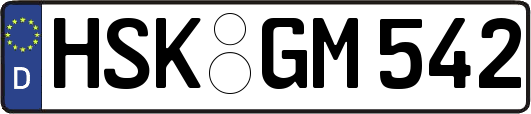 HSK-GM542