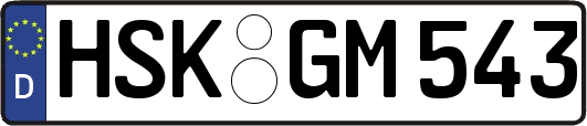 HSK-GM543