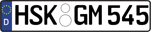 HSK-GM545