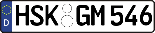 HSK-GM546