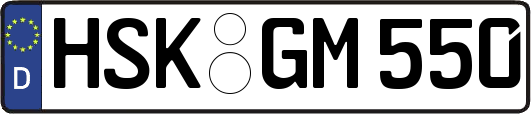 HSK-GM550