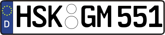 HSK-GM551