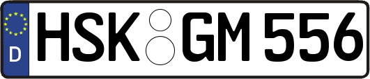 HSK-GM556