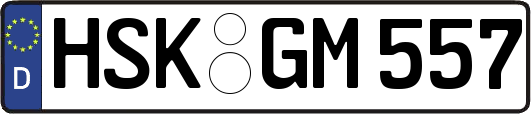 HSK-GM557