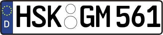 HSK-GM561
