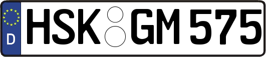 HSK-GM575