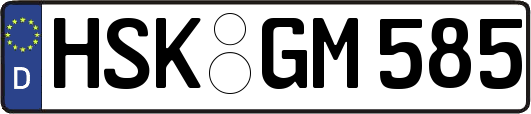HSK-GM585