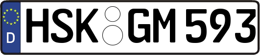 HSK-GM593