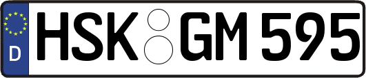 HSK-GM595