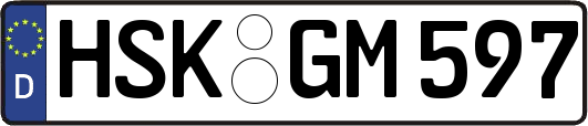 HSK-GM597