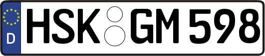 HSK-GM598