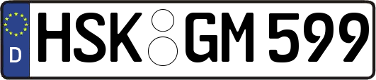 HSK-GM599