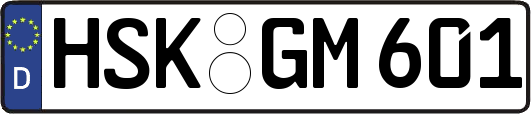 HSK-GM601