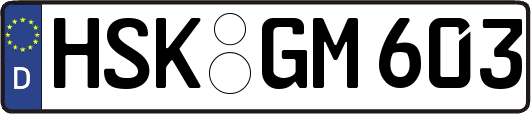 HSK-GM603