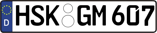 HSK-GM607