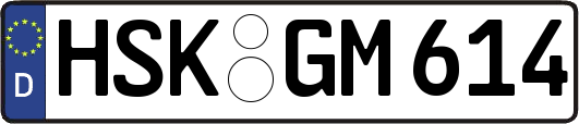 HSK-GM614