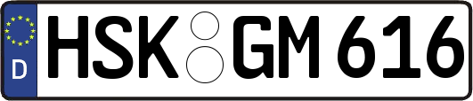 HSK-GM616