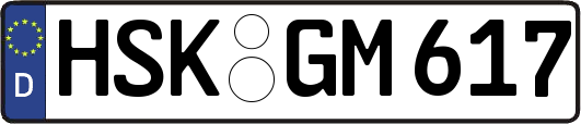HSK-GM617