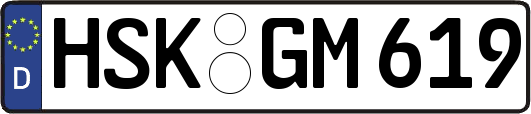 HSK-GM619