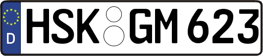 HSK-GM623