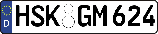 HSK-GM624