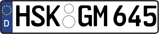HSK-GM645