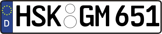 HSK-GM651