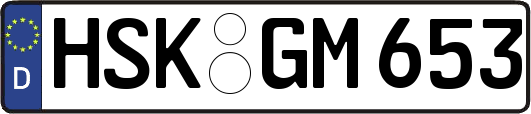 HSK-GM653
