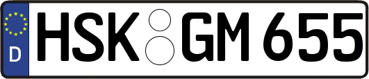 HSK-GM655