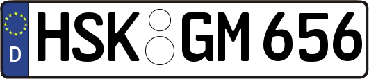 HSK-GM656