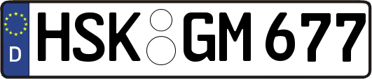 HSK-GM677