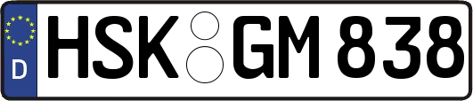 HSK-GM838