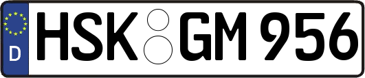 HSK-GM956