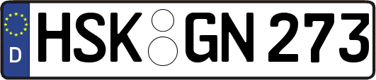 HSK-GN273