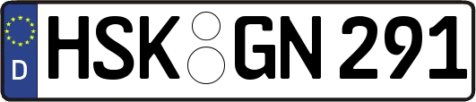 HSK-GN291