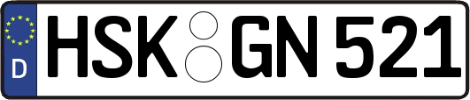 HSK-GN521