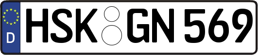 HSK-GN569