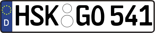 HSK-GO541