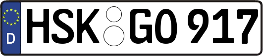 HSK-GO917