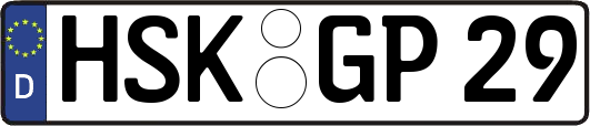HSK-GP29