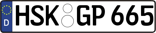 HSK-GP665