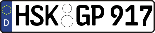 HSK-GP917