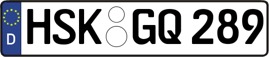 HSK-GQ289
