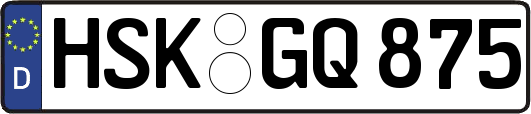HSK-GQ875