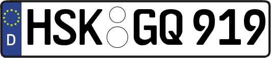 HSK-GQ919